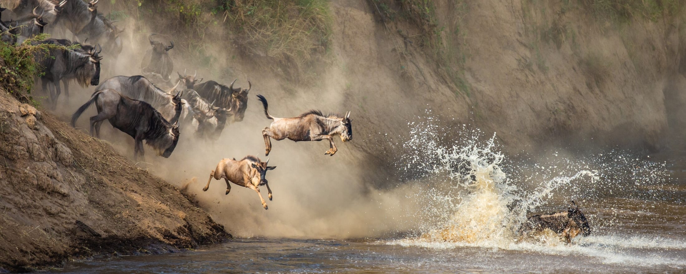 Masai Mara