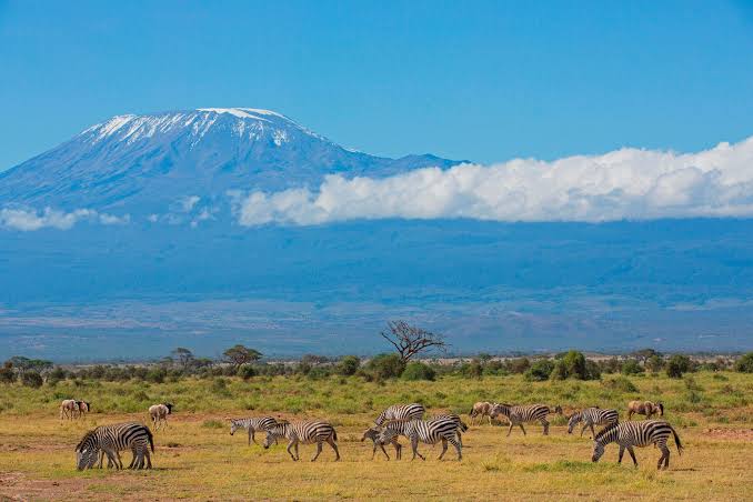 MOUNT KILIMANJARO TREK RONGAI ROUTE 6 DAYS