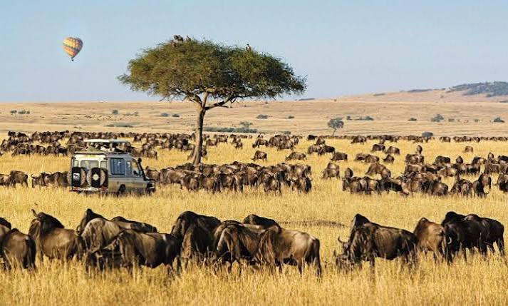 3 DAYS 2 NIGHTS MASAI MARA GROUP JOINING SAFARI